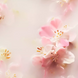 Набір "NEW Gift Set M" Rituals. The Ritual of Sakura 00851 фото 4